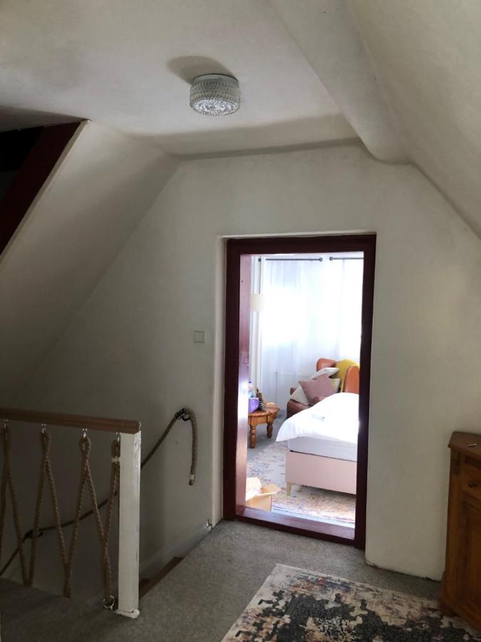 Adelle Cottage In Krkonose National Park Rudník المظهر الخارجي الصورة