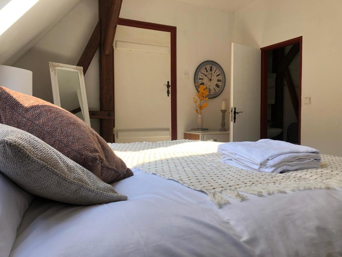 Adelle Cottage In Krkonose National Park Rudník المظهر الخارجي الصورة